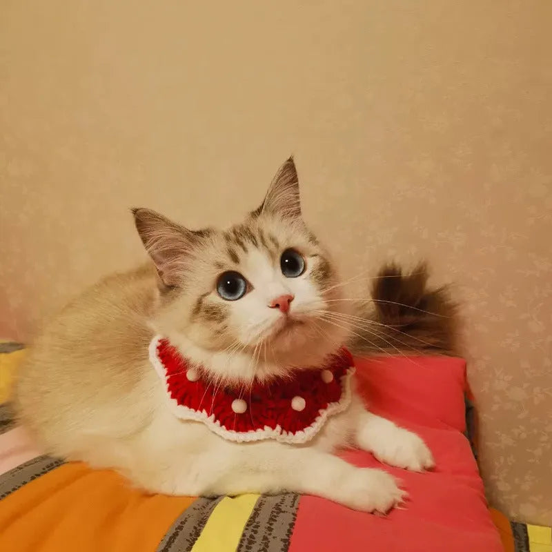 Soft milk cotton knitted collar for small pets with a cartoon pattern, shown in multiple sizes.