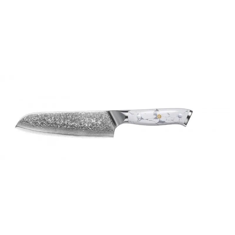 Damascus combined chef knife with VG10 steel blade and modern simple design for kitchen use