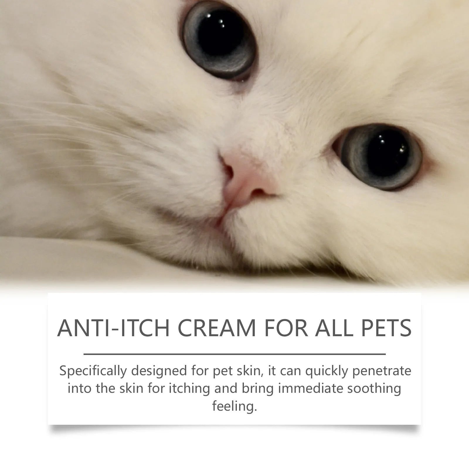 Pet itch relieving cream for cats 60g tube with tea tree oil and aloe vera