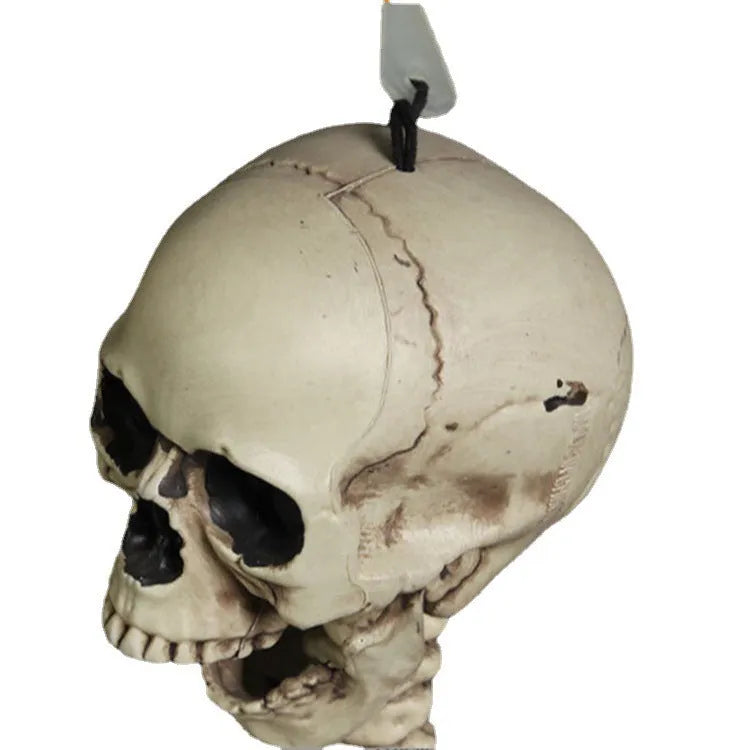Full-size 170cm plastic skeleton prop showing detailed human skull and bone simulation