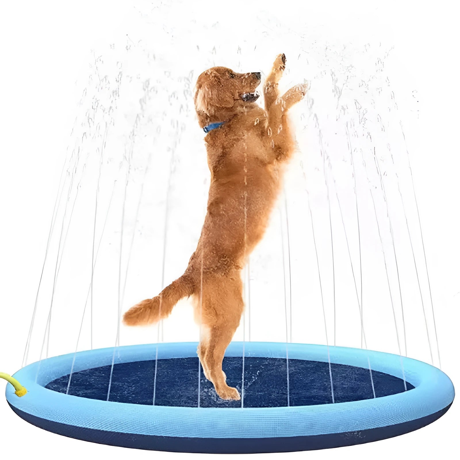 Outdoor dog splash pad mat with anti-slip surface in 100cm 150cm 170cm diameter options