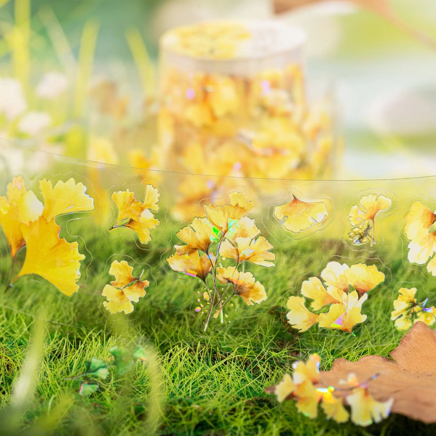 Roll of PET decorative stickers with six leaf patterns including ginkgo and maple designs for DIY projects