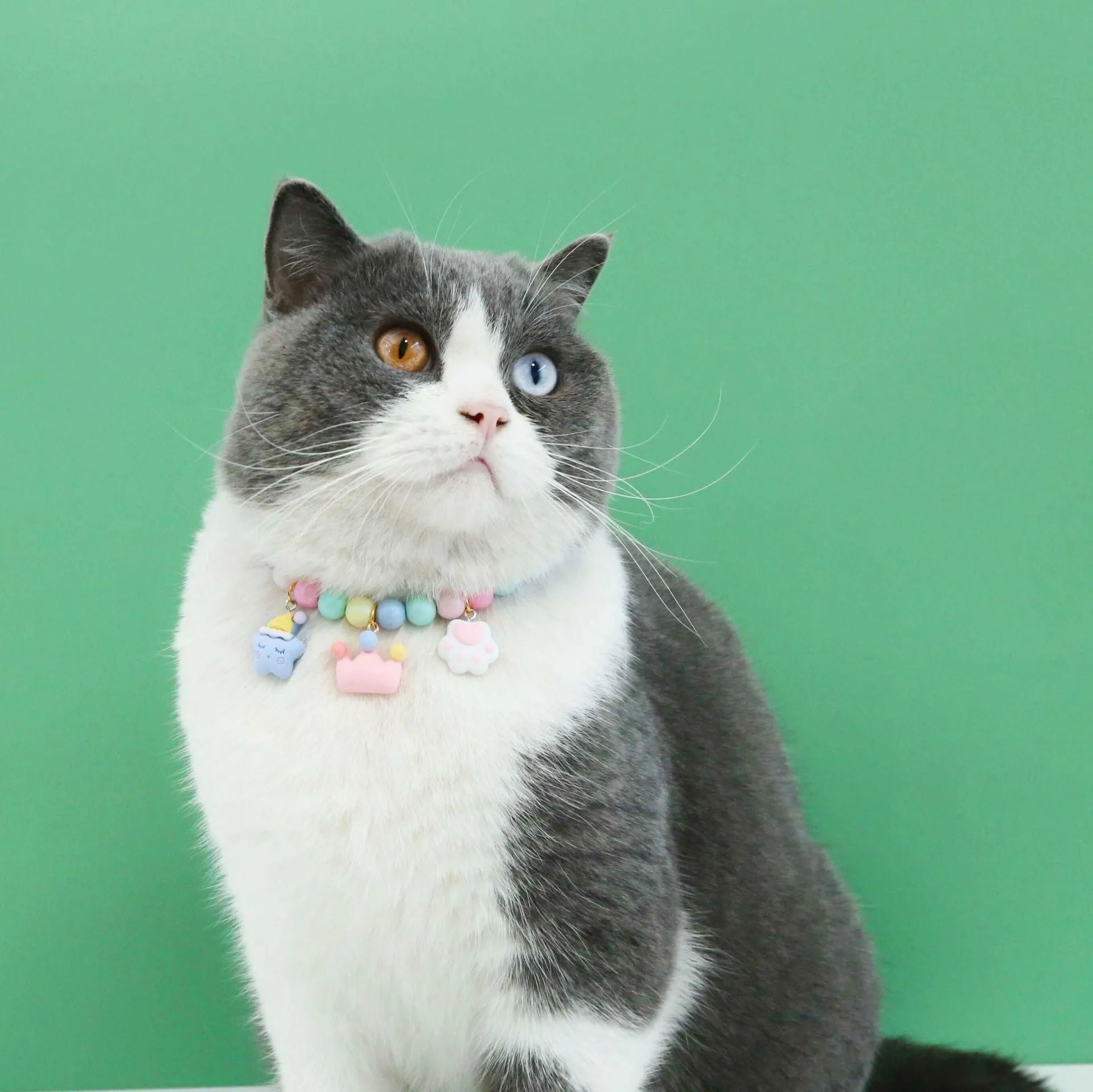 Colourful macaron-themed pet collar and bracelet set for cats, dogs, rabbits in resin with moon, meteor designs