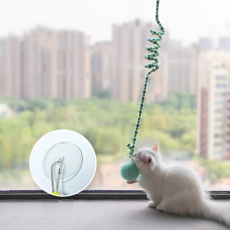Kitten playing with a spring-mounted hanging ball toy attached to a door by a suction cup.