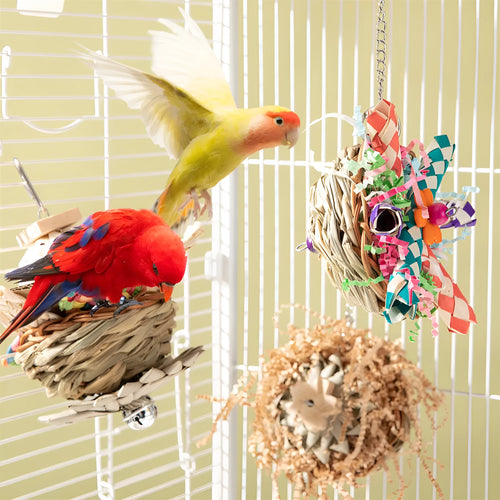 Three different weighted parrot chewing blocks for gnawing and beak maintenance