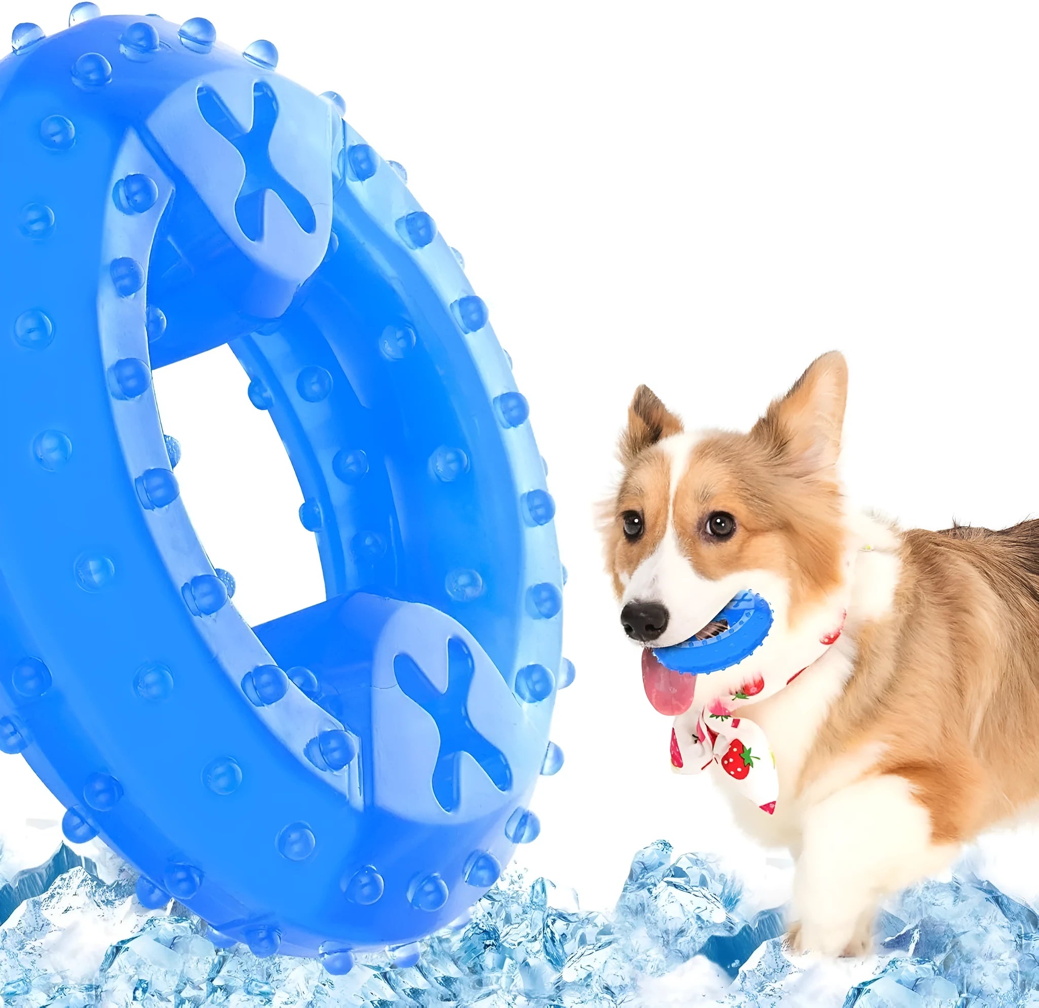 Freezable water-filled dog cooling teether chew toy in bone and circle shapes
