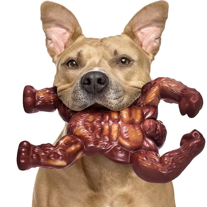 Scarlet red beef flavour nylon dog chew toy for molar nibbling, showing size scale.