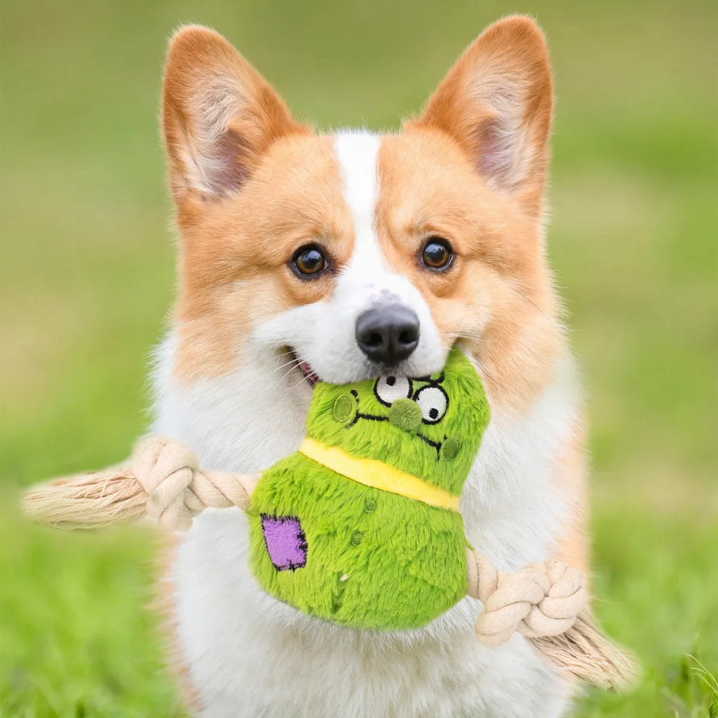 Green and purple interactive plush dog toy with rope knots for tug of war.