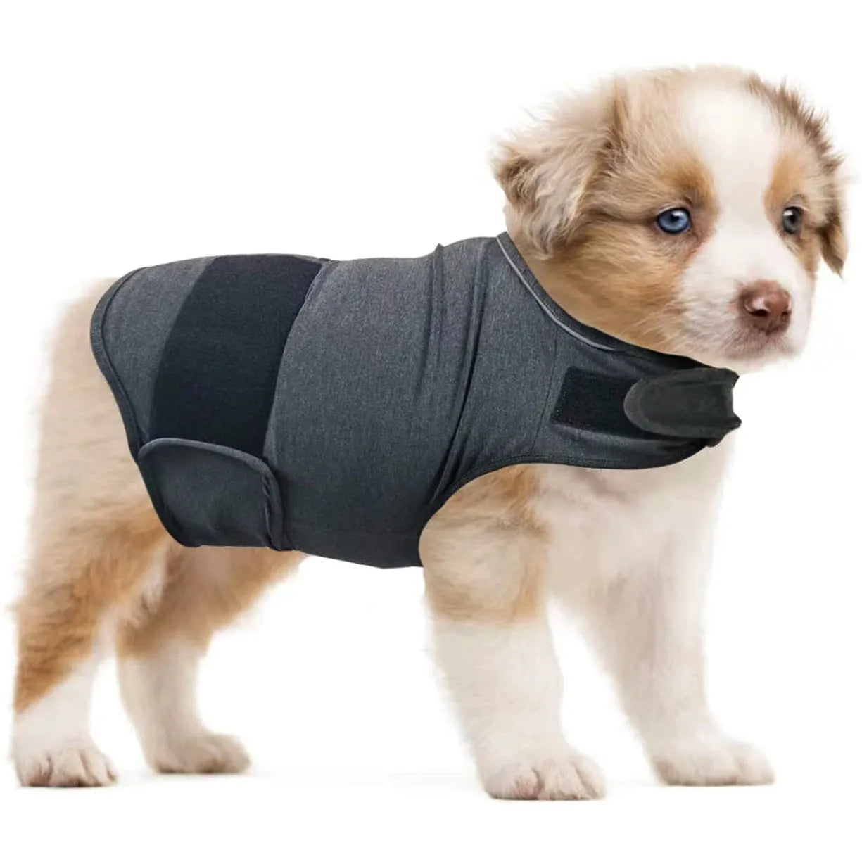 Dog wearing brown brocade cotton tank top designed for separation anxiety relief