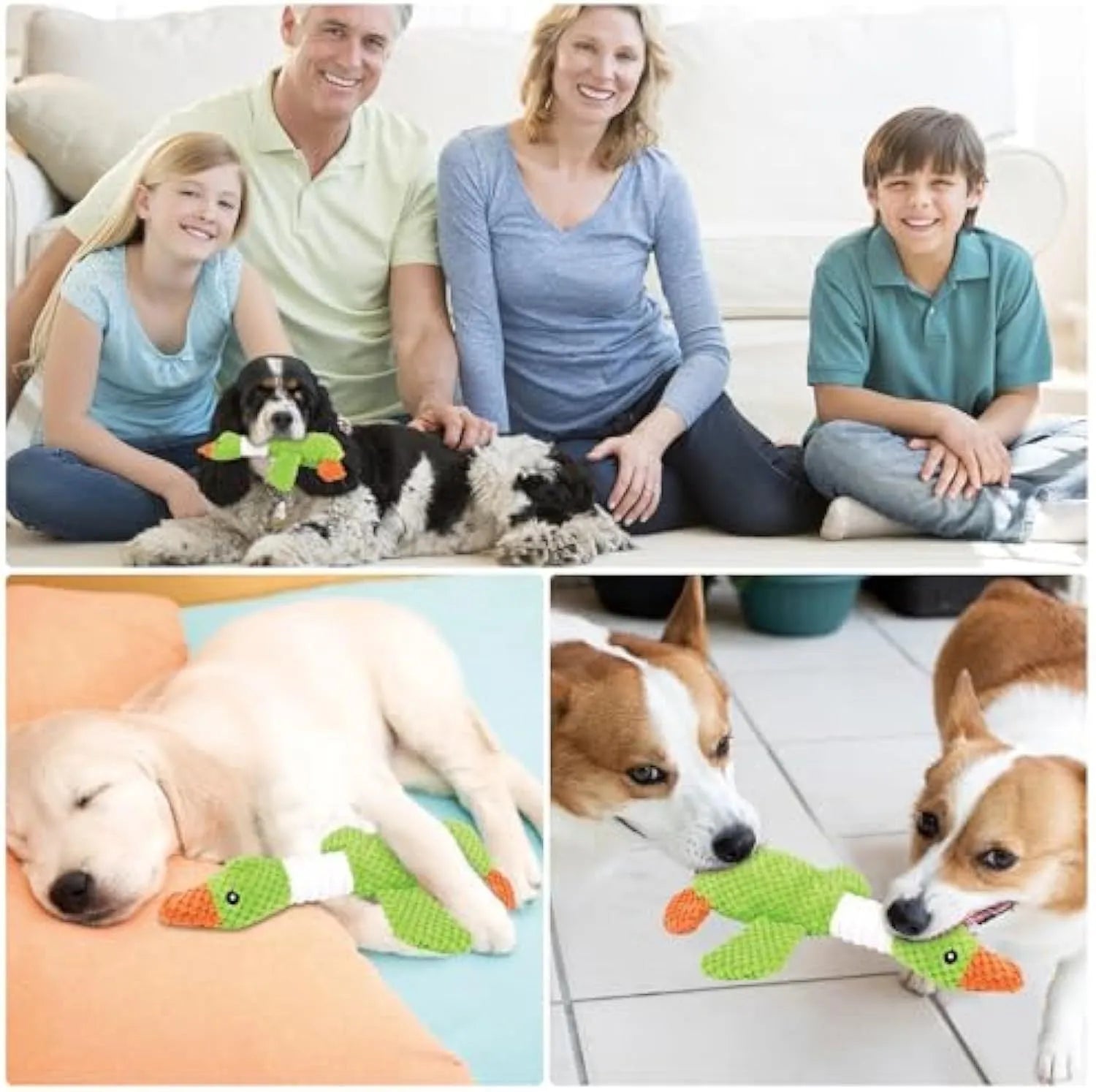Blue durable duck dog plush toy with squeaker for large breed dogs and teething puppies