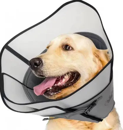 Adjustable polyester pet anti-bite collar ring in sizes L, M, XL for post-surgery recovery.