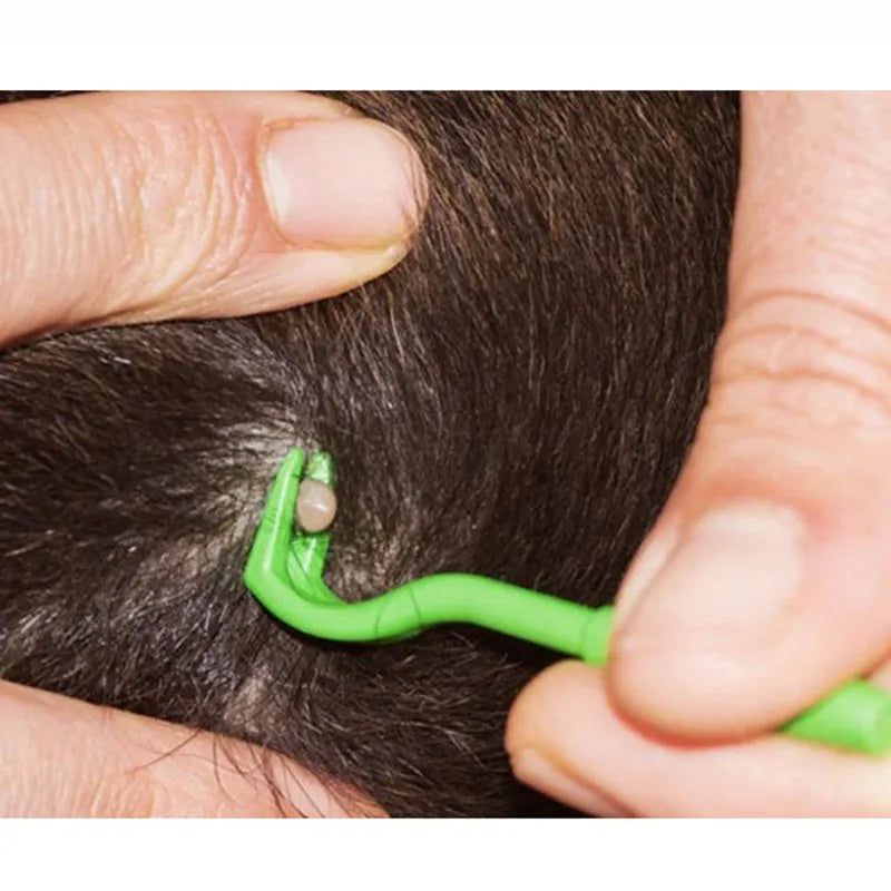 Three blue plastic tick removal clips for dogs and cats on a white background.