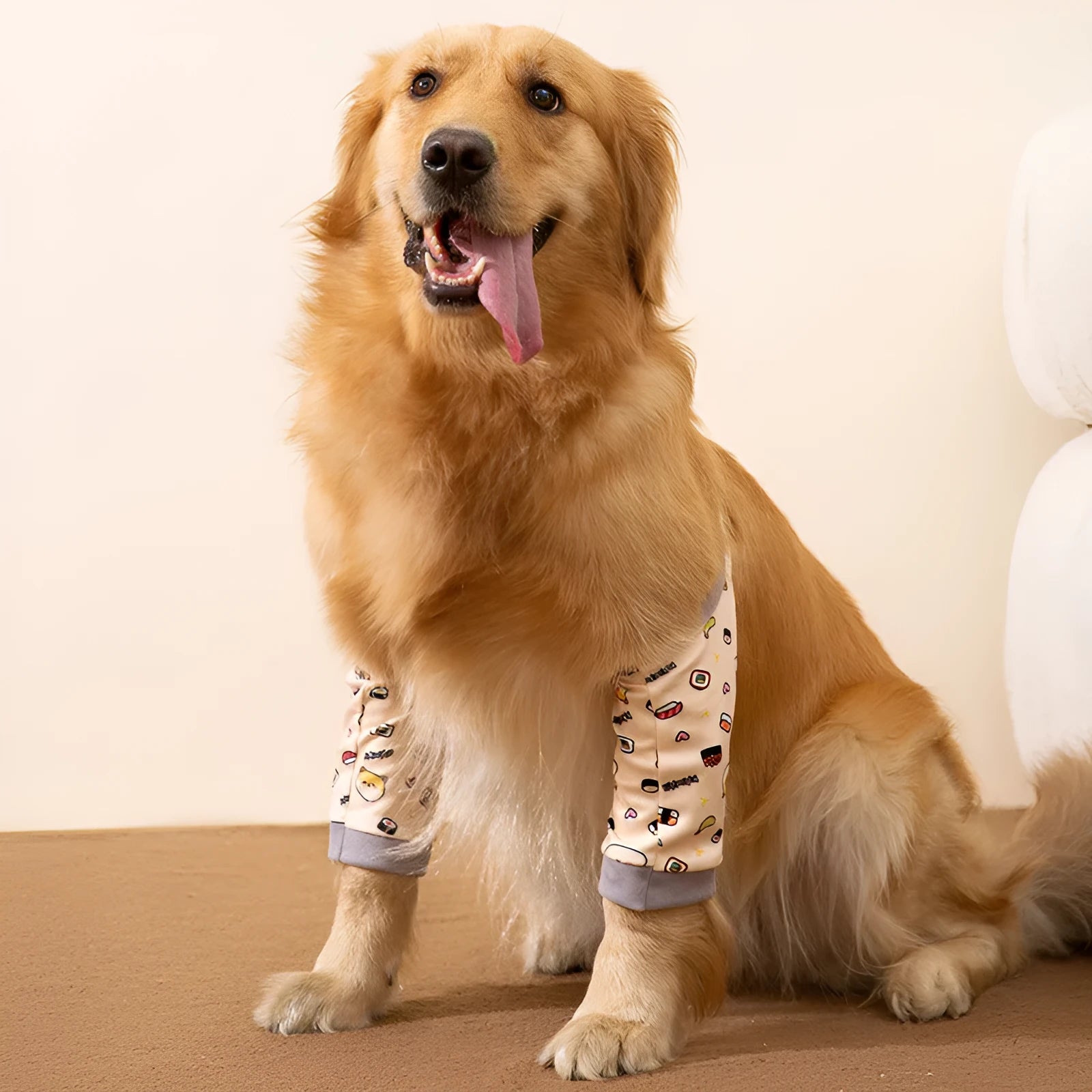 Blue dog knee protector with adjustable straps and matching scarf on medium-sized dog