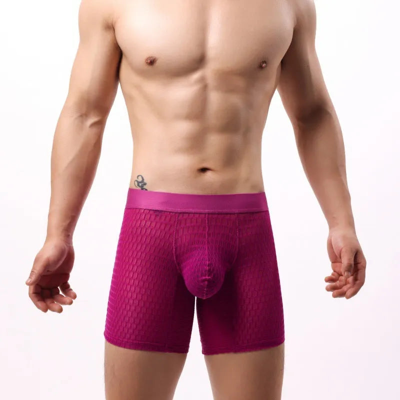 Men's lace mesh boxer shorts in black on a white background