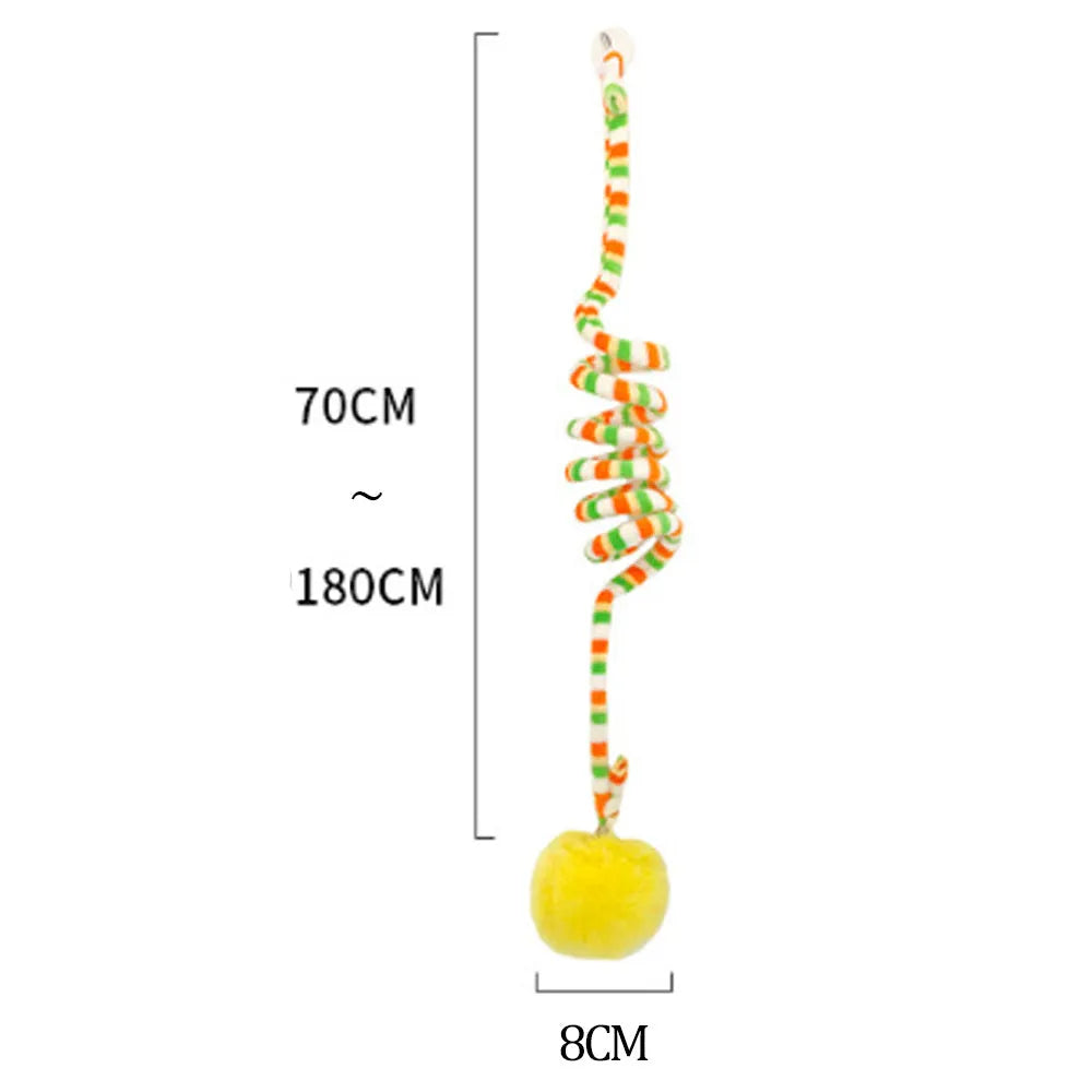 Kitten playing with a spring-mounted hanging ball toy attached to a door by a suction cup.