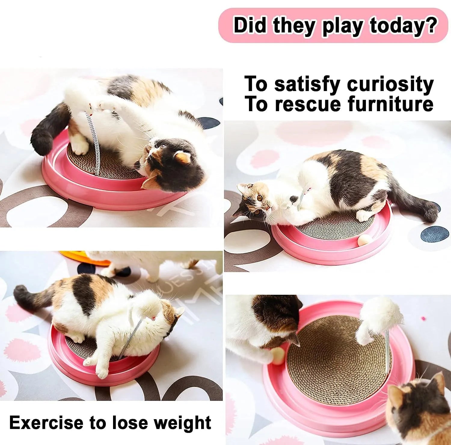 Interactive cat scratcher with rolling ball track and replaceable cardboard centre in blue colour