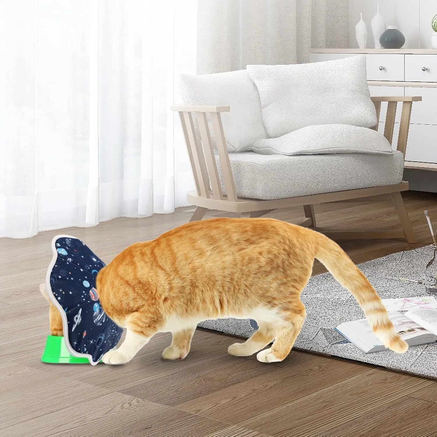 Soft adjustable cat recovery cone collar in constellation pattern on a small cat