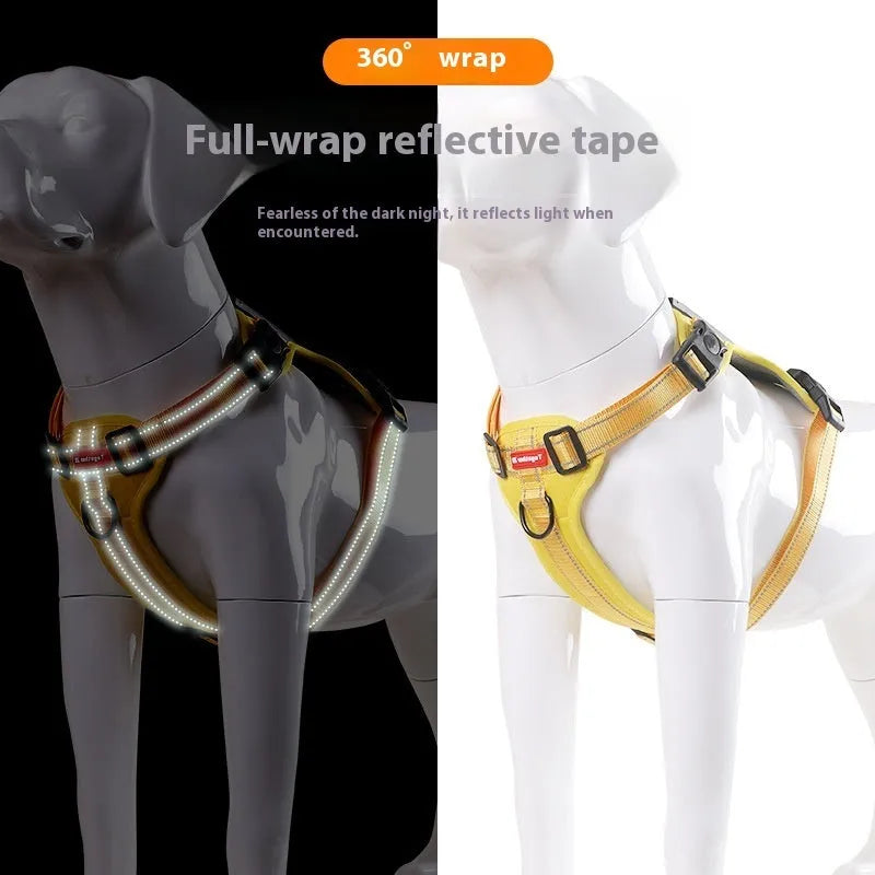 Polyester dog chest harness with attached leash in assorted colours on a white background.