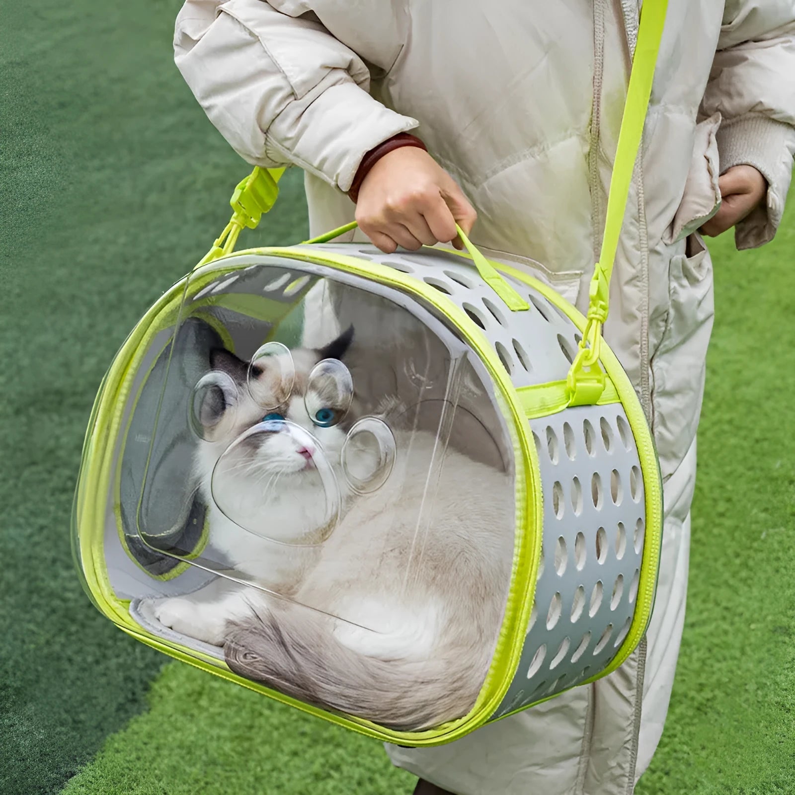 Transparent hard-shell cat backpack carrier in space capsule design with foldable feature
