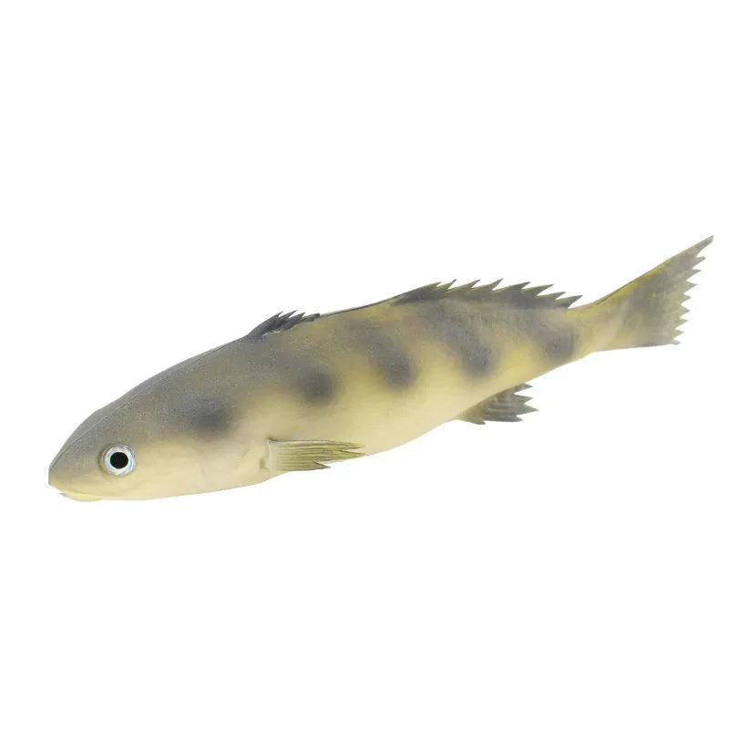 Three PU simulated fish models showing yellow-fin tuna variations on display surface