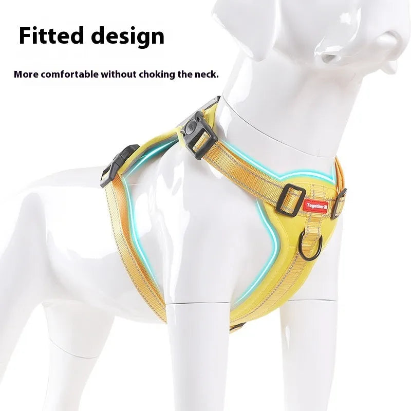 Polyester dog chest harness with attached leash in assorted colours on a white background.