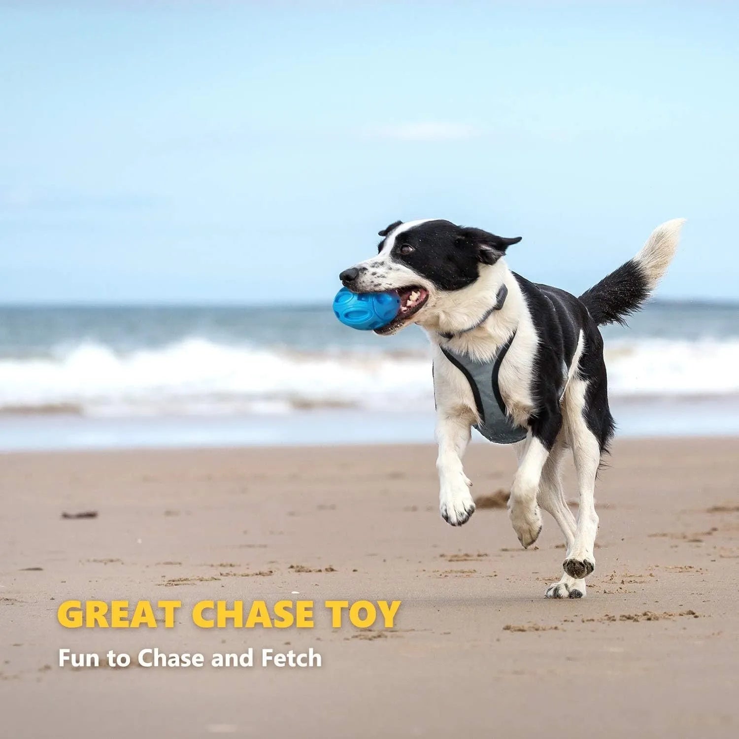 Blue, green, and orange natural rubber squeaky dog chew ball for medium and large breeds