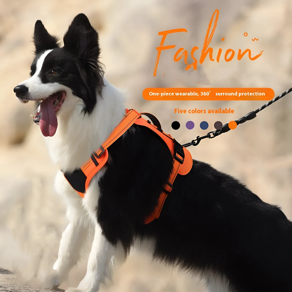 Orange adjustable dog harness with reflective trim and a black hand-holding rope lead attached