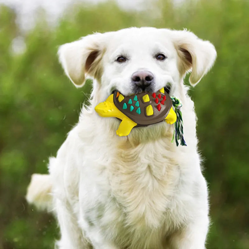 Mint-flavoured natural rubber dog toothbrush chew toy in blue and chocolate colour.