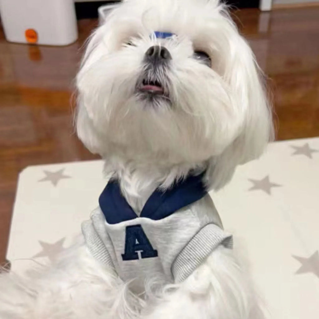 Blue and grey-white pet hoodie with reflective lettering for cats and dogs