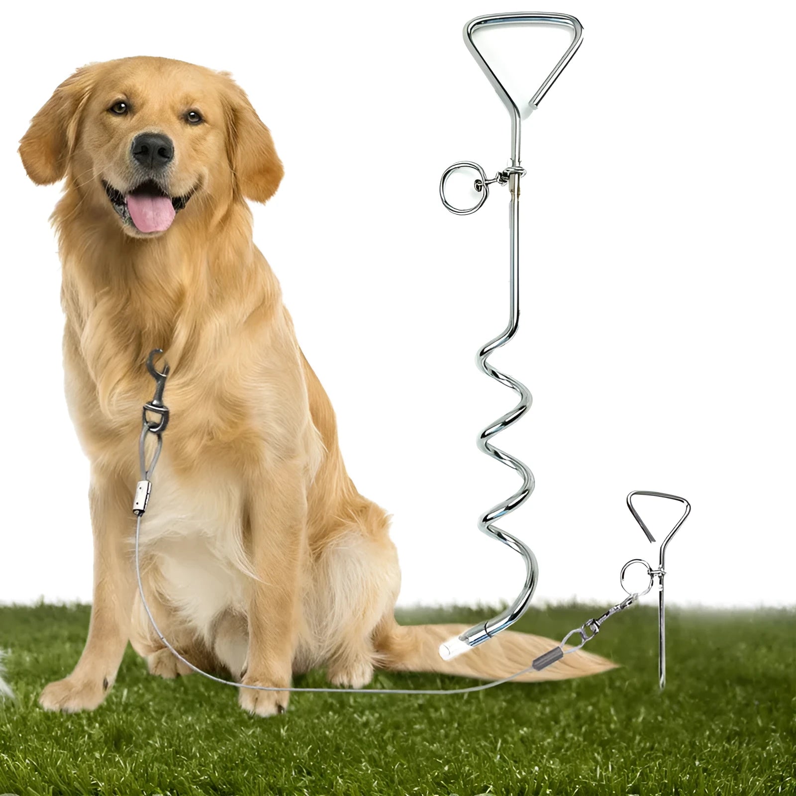 Silver spiral dog tie out stake for ground anchoring in sandy soil conditions