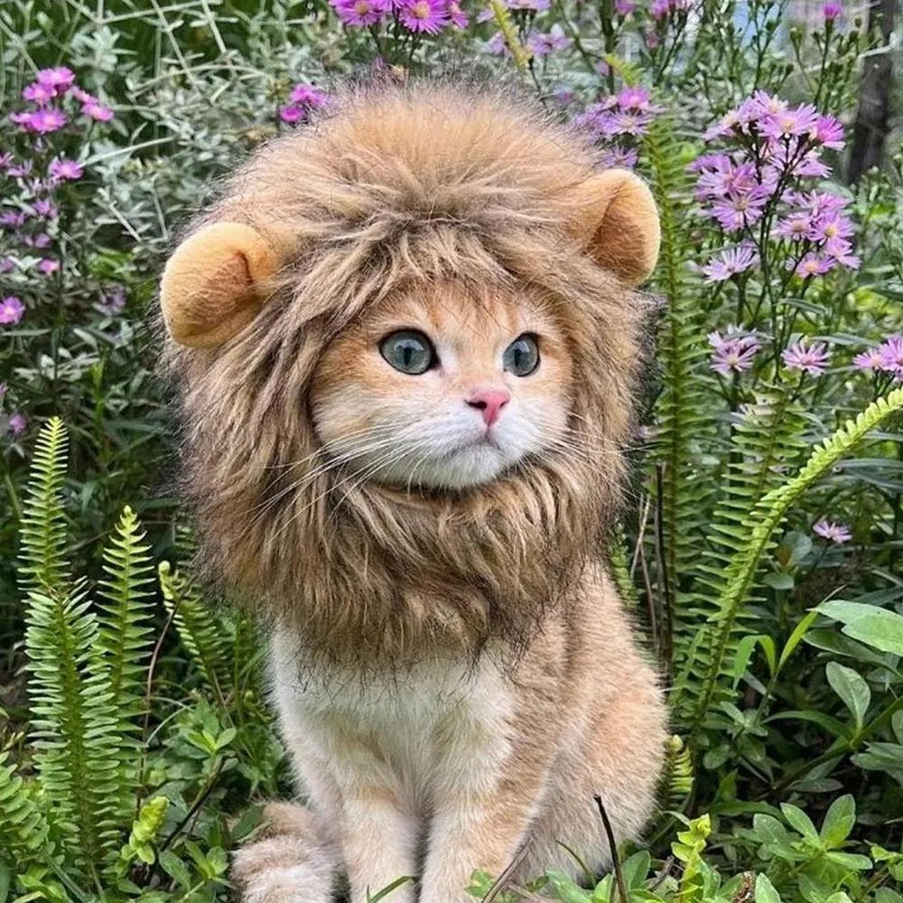 Lion mane wig for cats on a pet, showing adjustable band and realistic artificial hair.