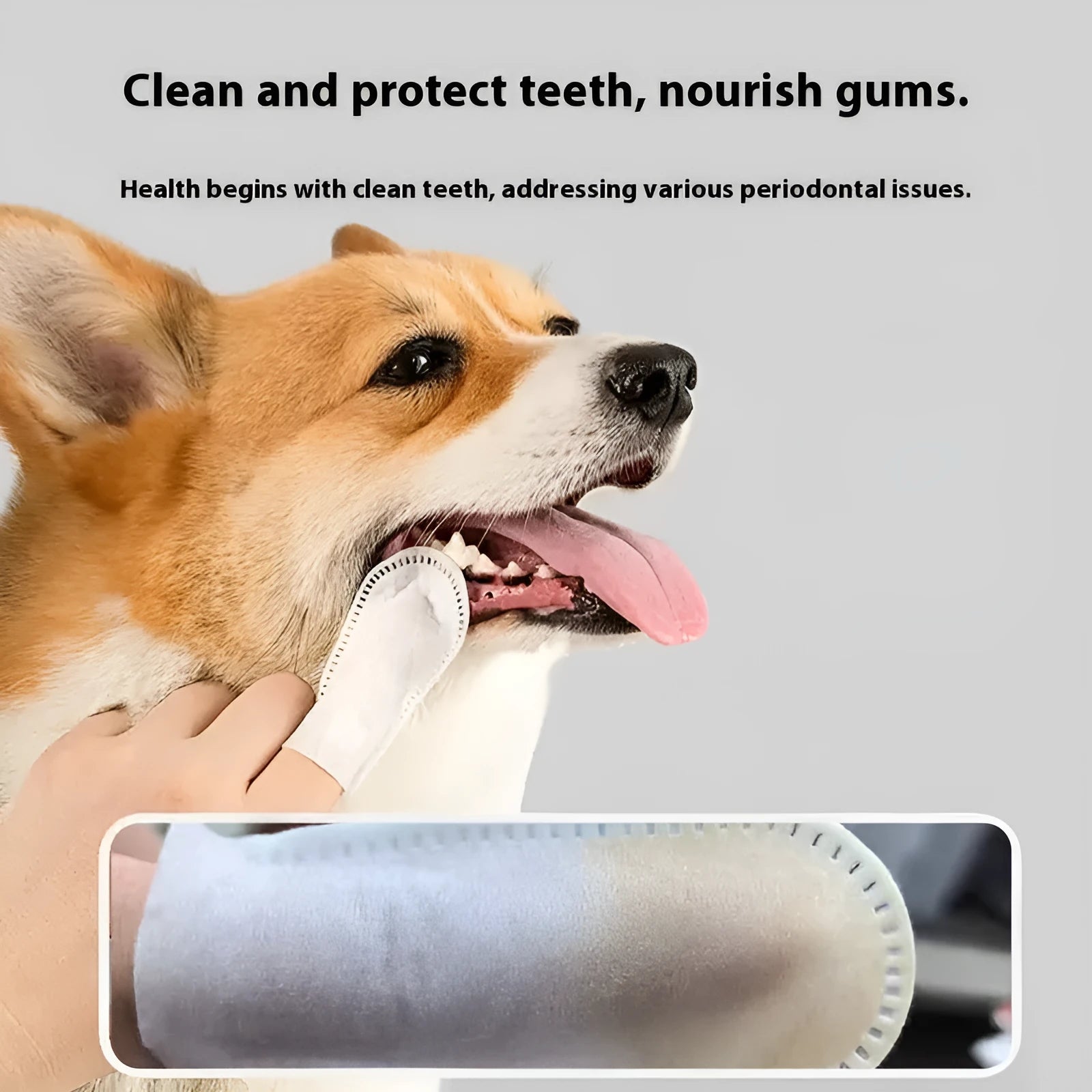 50 piece non-woven pet dental cleaning finger stall for cat and dog teeth