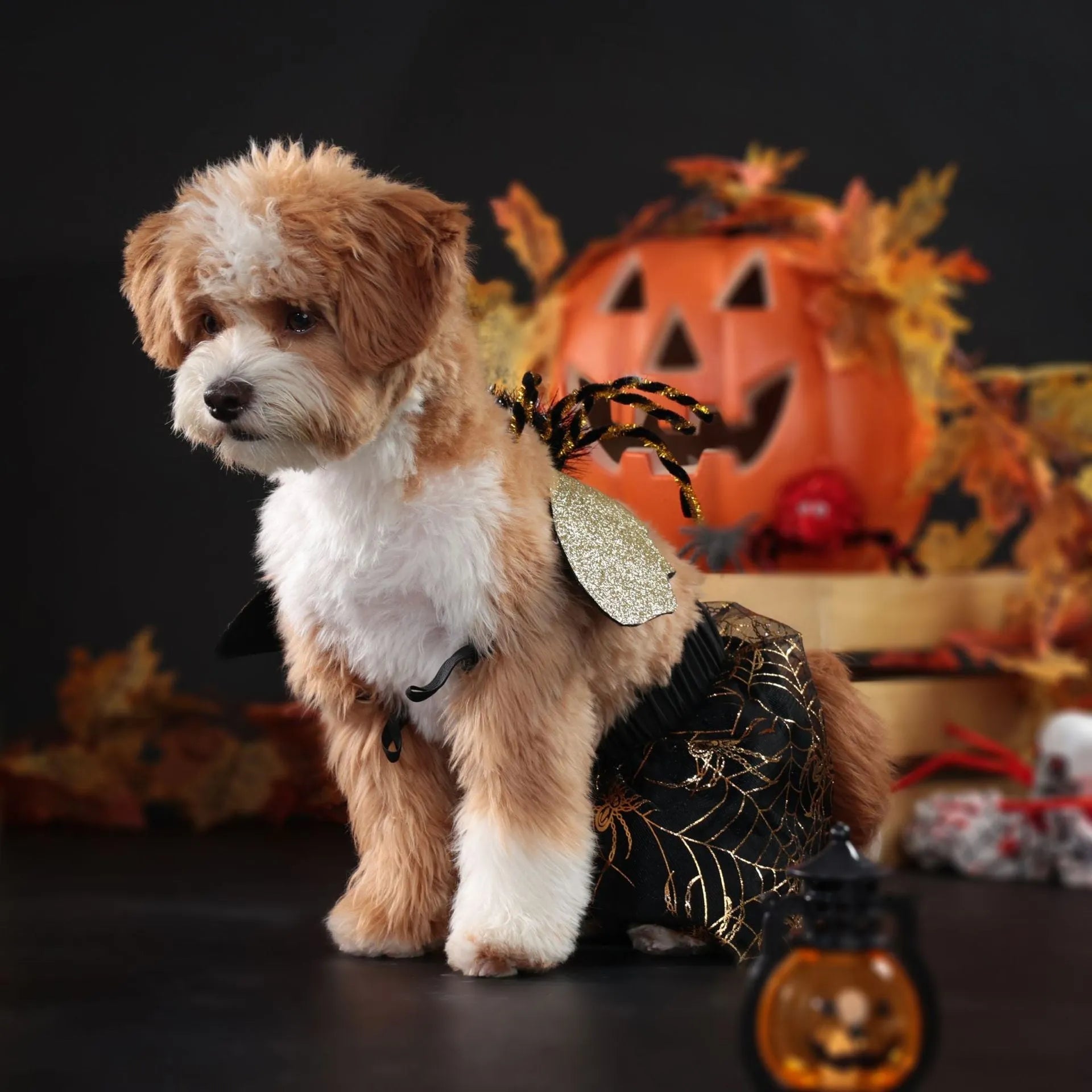 Polyester Halloween costume suit for dogs in various sizes