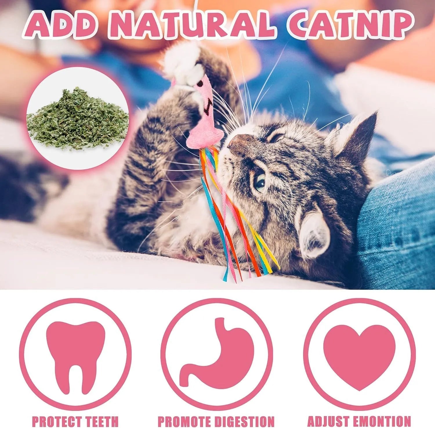 Cat wand toy with wooden handle, colourful ribbons, catnip fish and bell for indoor cats