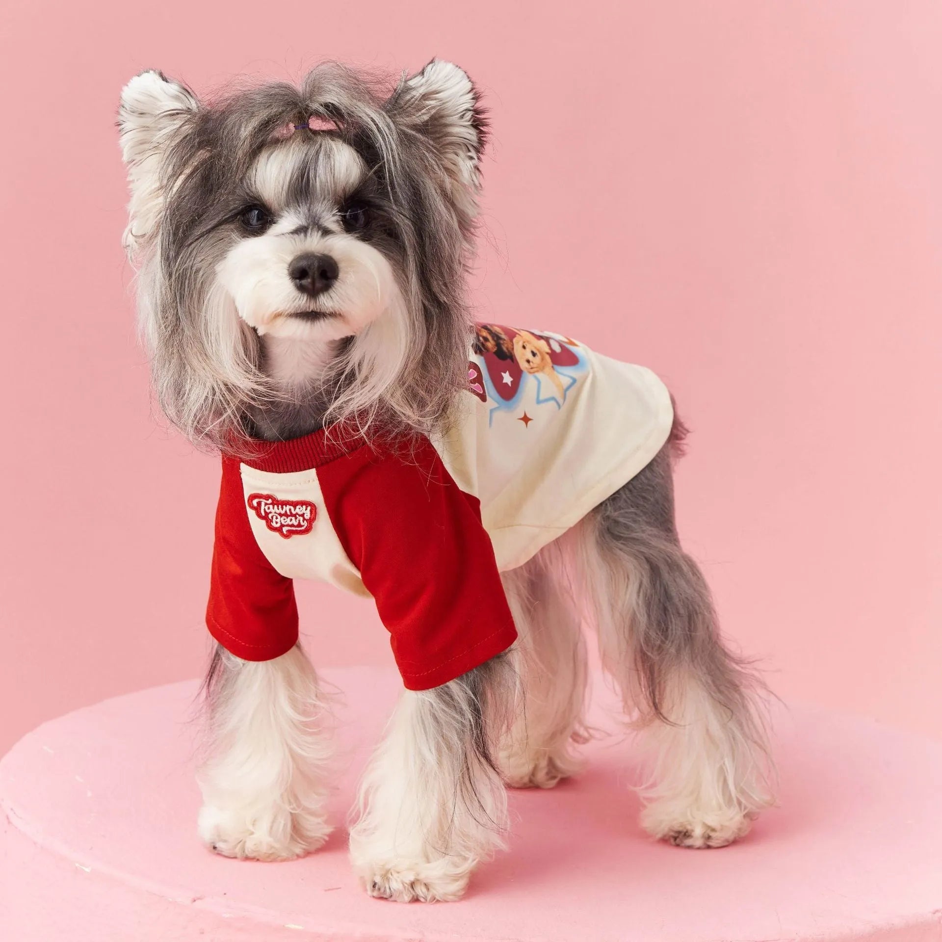 Cotton dog summer clothes with embroidery in red or pink colours, sizes XS to XXL