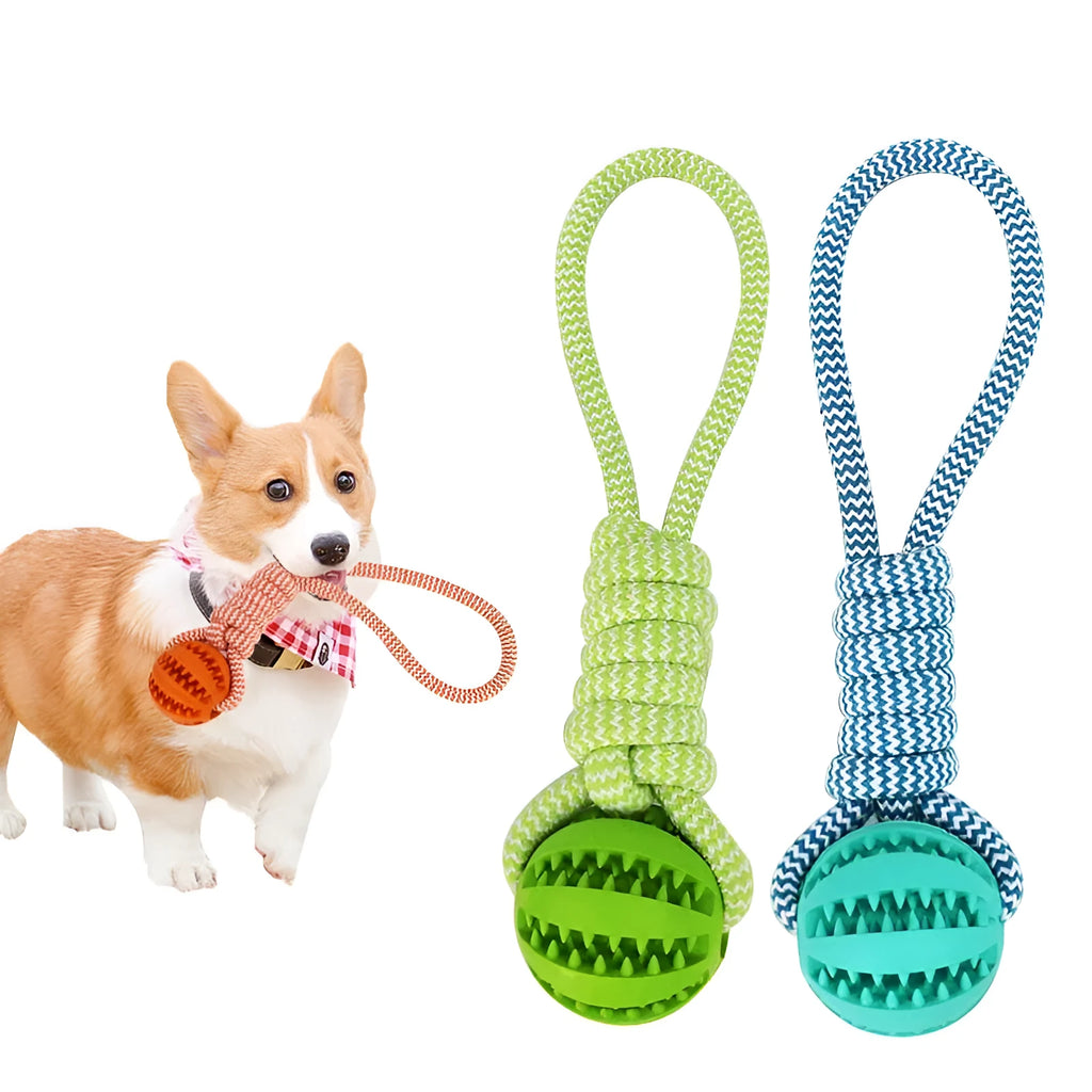 Blue TPR rubber rope ball dog toy for small dogs, measuring 36x6x6 cm, with cotton rope for tug-of-war