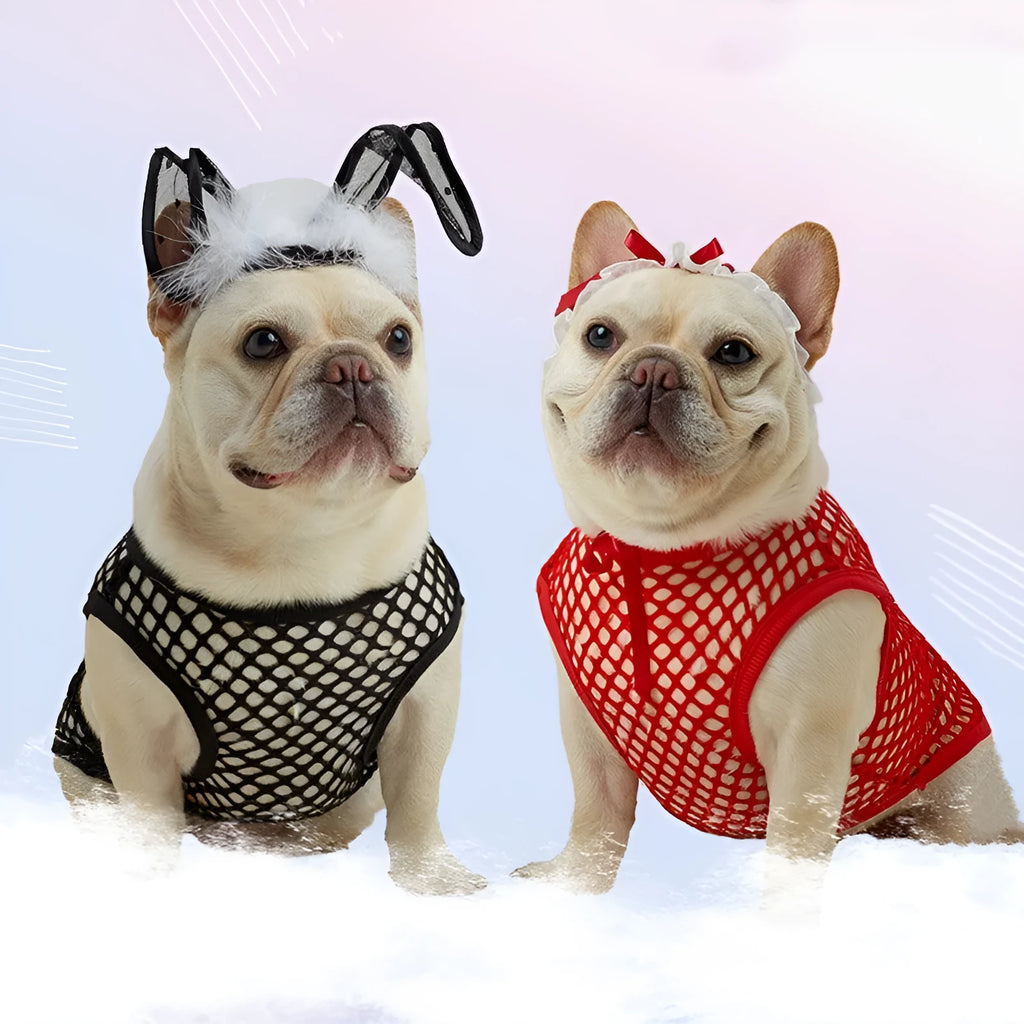 Hollow mesh dog vest in black with elastic large mesh fabric, side view on a dog