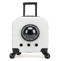 PVC hard shell cat flight trolley carrier in a choice of pink, burgundy, white, or orange