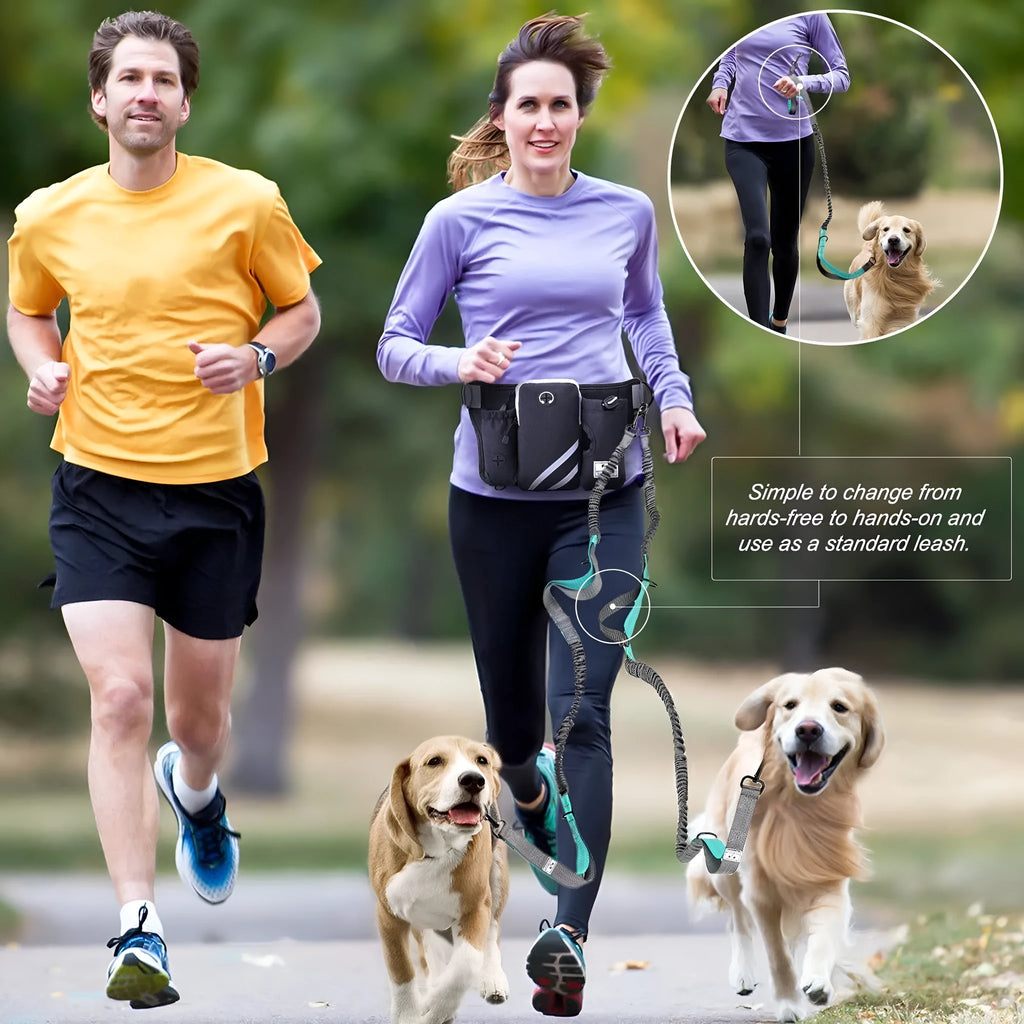 Black nylon dog walking waist bag with attached leash and collar for outdoor training
