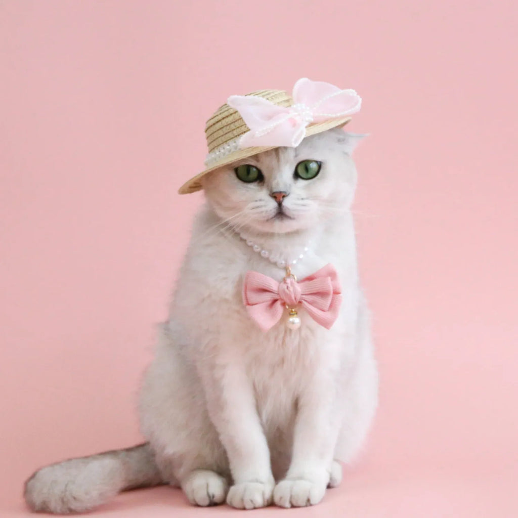 Woven straw hat for a cat with a pearl butterfly bow, shown in pink, purple, blue, or white colour options.