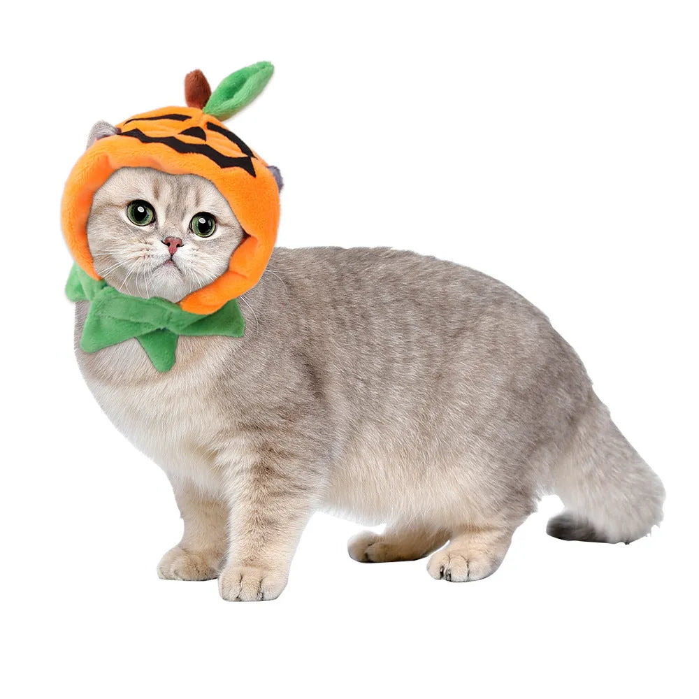 Halloween pumpkin double-sided dog cloak cat costume in plush fabric