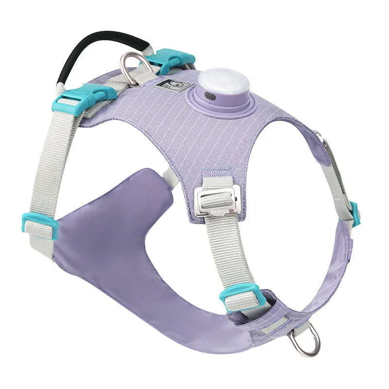 Adjustable nylon dog harness with LED light in various colour options