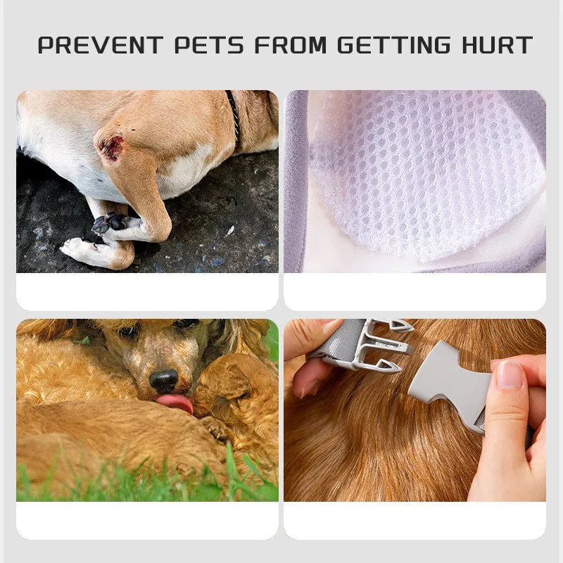 Blue dog knee protector with adjustable straps and matching scarf on medium-sized dog
