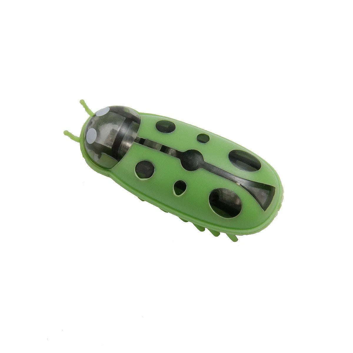 Miniature electric ladybird beetle cat toy on floor showing size and insect shape