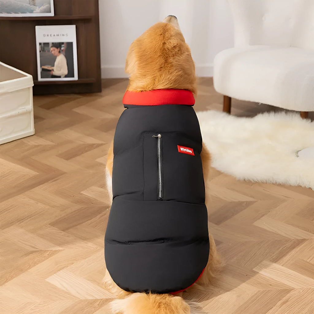 Winter cotton-padded vest dog coat for large Golden Retriever with zipper pocket, black colour