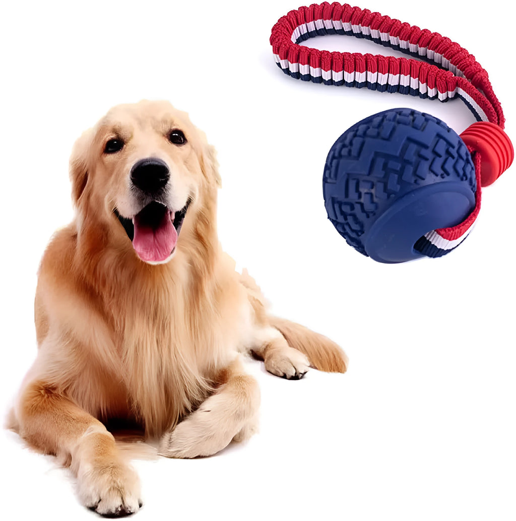 Blue or red natural rubber dog ball with rope attachment, showing textured surface and 29cm total length