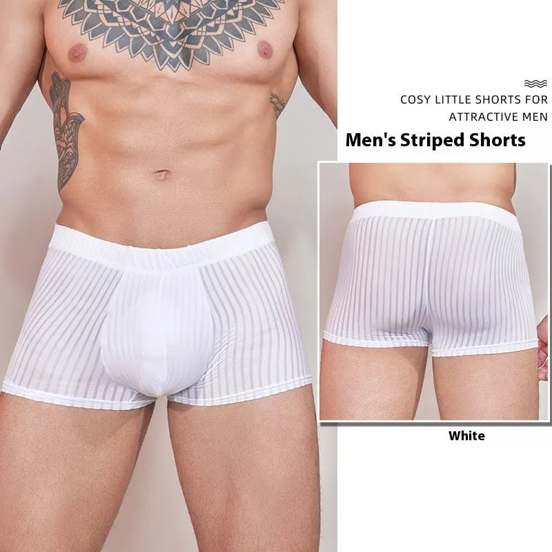 Men's striped transparent nylon underwear in black, white and dark grey colours