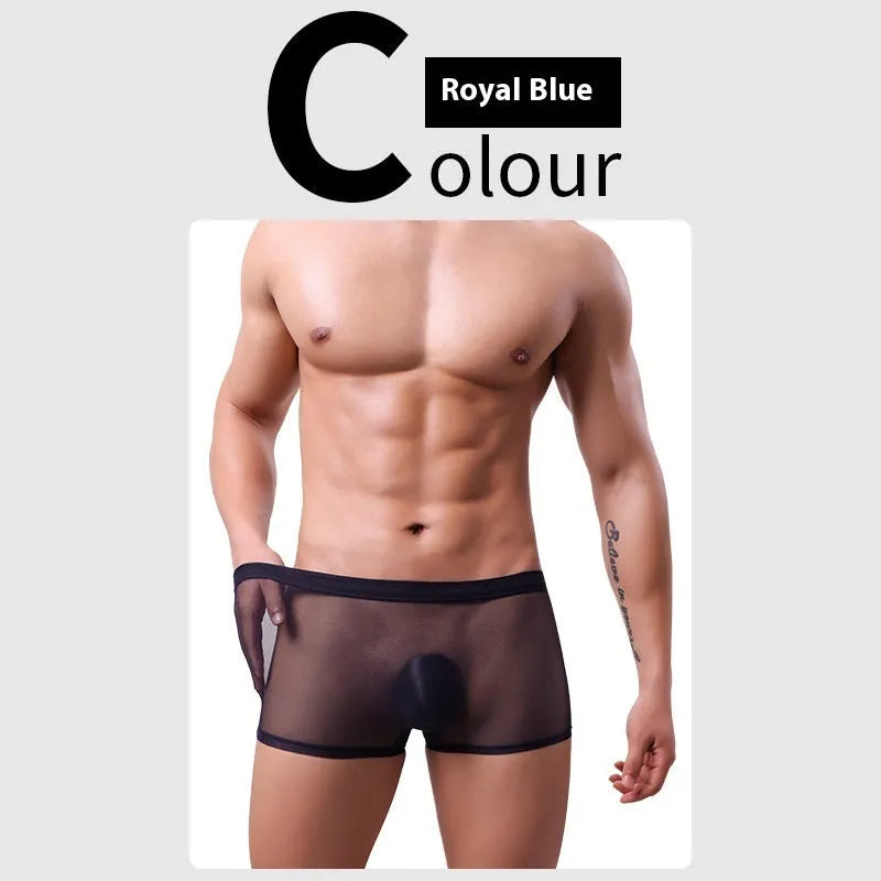 Men's thin sheer mesh boxer briefs in low-waist design, shown in multiple colours.