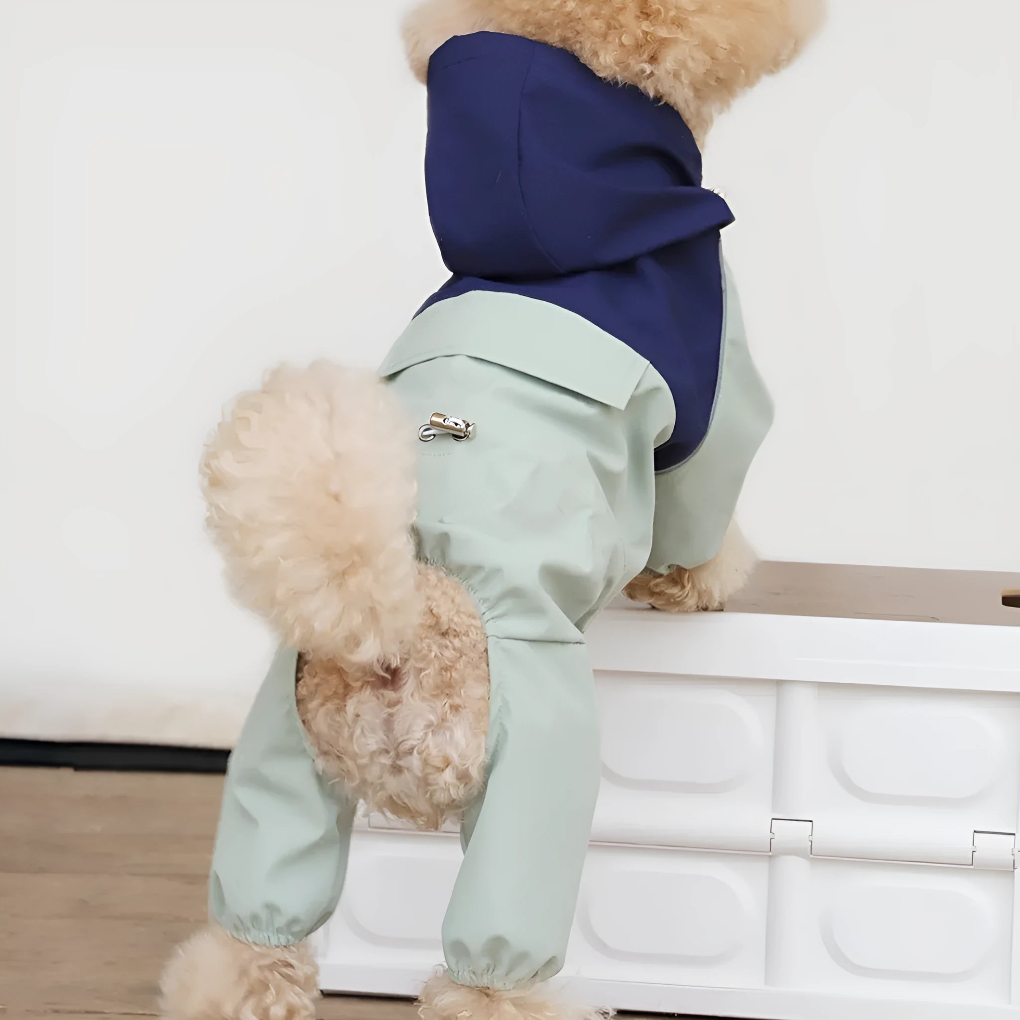 British style waterproof polyester dog jacket for small and medium breeds in Army Green