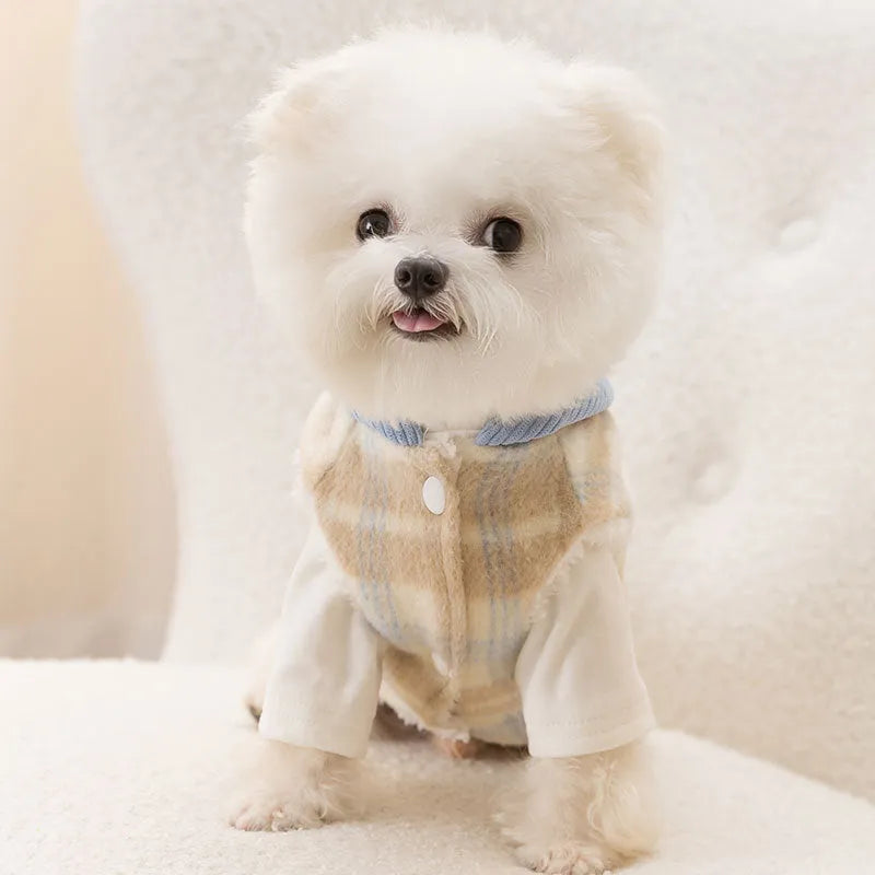 Blue hooded chessboard grid corduroy dog vest with traction styling for autumn winter wear